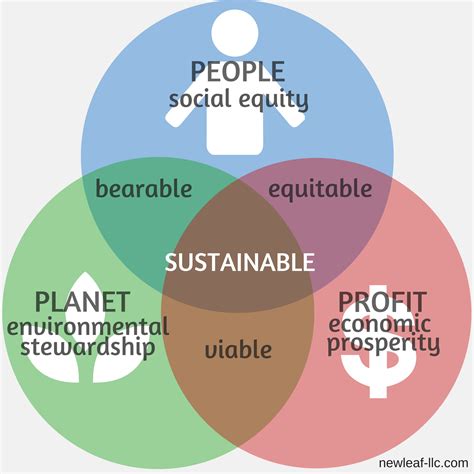 the triple bottom line definition